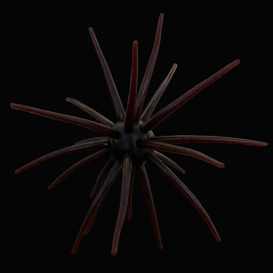 JERKIN URCHIN 25mm - RUSTED BROWN