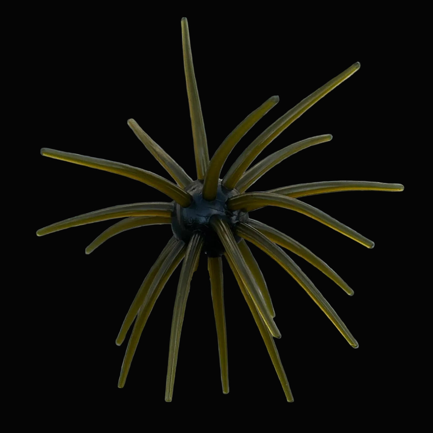 JERKIN URCHIN 25mm - SEEDLESS GREEN PUMPKIN