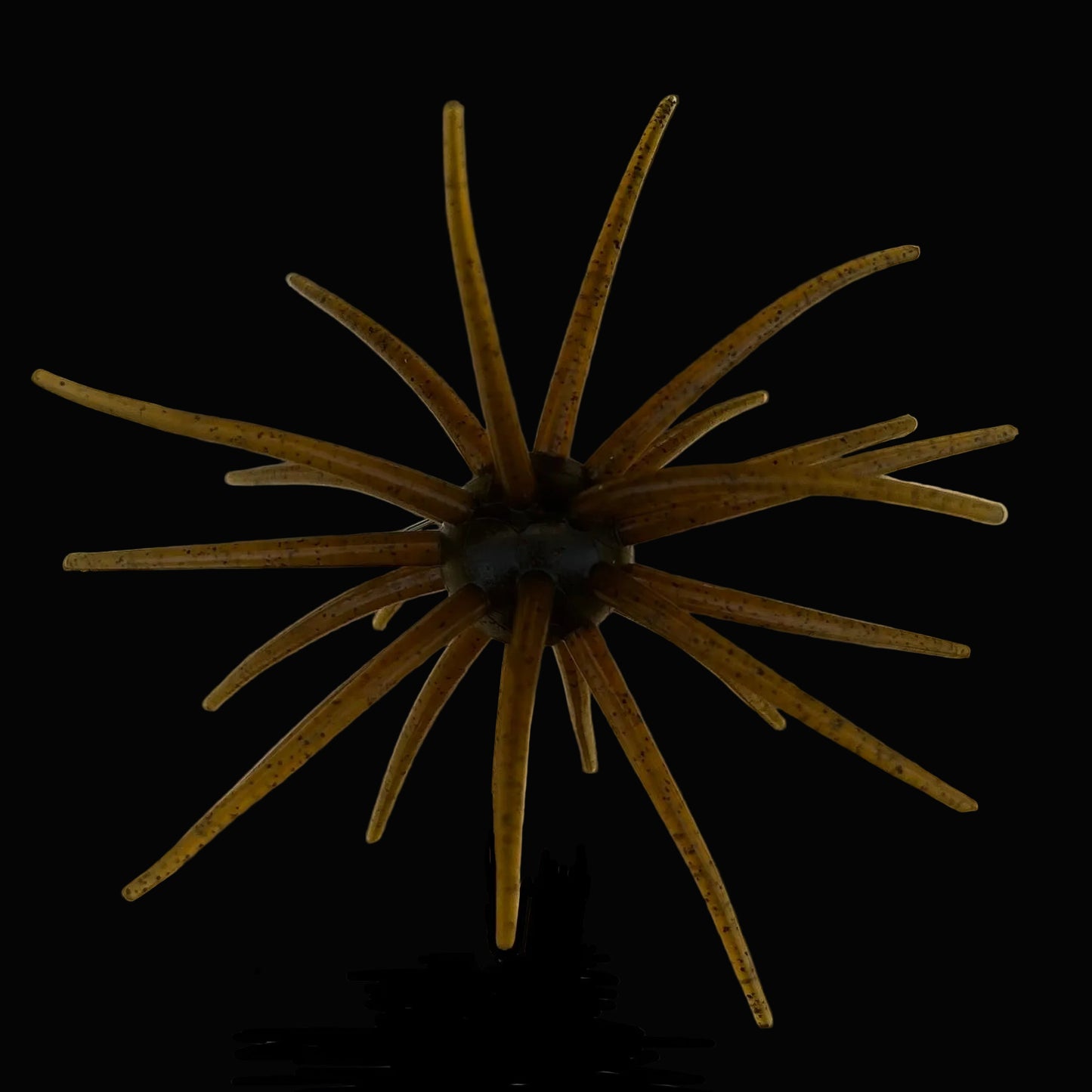 JERKIN URCHIN 25mm - CHAMPAGNE PEPPER
